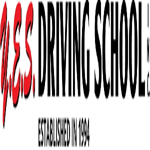 Y.E.S. Driving School,Inc.